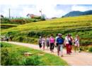 Lào Cai: Chuyển đổi số để phát triển du lịch
