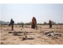 Vùng Sừng châu Phi bước vào mùa khô hạn thứ năm liên tiếp