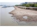 Quảng Trị: Cá chết kéo dài ở hồ Nước Chè, gây ô nhiễm môi trường