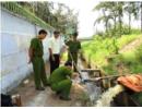 Thanh, kiểm tra đột xuất về bảo vệ môi trường trong những trường hợp cần thiết