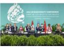 COP15 CBD: Thông qua Khung Đa dạng sinh học toàn cầu Kunming - Montreal