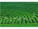 Bộ TN&MT đồng hành cùng doanh nghiệp phát triển xanh