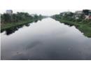 Ô nhiễm nguồn nước sông Nhuệ cần được xư lý