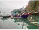 Quảng Ninh yêu cầu xử lý dứt điểm 8 cơ sở nuôi thủy sản trái phép trên vịnh Hạ Long