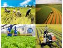 Bộ Nông nghiệp và Môi trường kiến nghị nhiều cơ chế đặc biệt