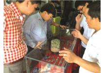 Tiền cổ Việt Nam: Những chuyện thú vị ít người biết