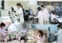 Phát triển KHCN phục vụ sự nghiệp công nghiệp hóa, hiện đại hóa