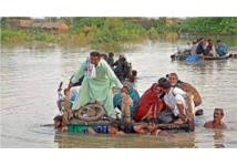 Pakistan đối mặt với thảm họa thiên nhiên, hơn 800 người thiệt mạng