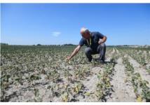 Chủ tịch COP27 cảnh báo trở ngại với mục tiêu hạn chế ấm lên toàn cầu