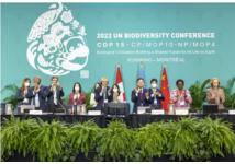 COP15 CBD: Thông qua Khung Đa dạng sinh học toàn cầu Kunming - Montreal