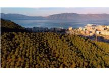 Bất công về môi trường ngay giữa các nước Liên minh châu Âu