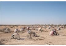 WFP: Hạn hán đang ảnh hưởng đến 22 triệu người tại Đông Phi