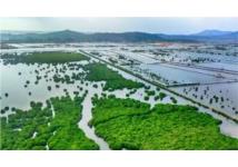 Việt Nam đóng góp nhiều đề xuất trong bảo tồn đa dạng sinh học biển