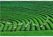 Bộ TN&MT đồng hành cùng doanh nghiệp phát triển xanh