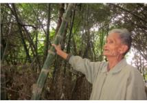 Sử dụng kiến thức bản địa tạo giải pháp bền vững tại Philippines