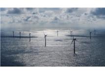 Hà Lan là quốc gia dẫn đầu EU trong chuyển đổi năng lượng mặt trời