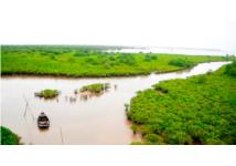 Các nước lưu vực sông Mekong đối mặt với tác động của biến đổi khí hậu