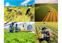 Bộ Nông nghiệp và Môi trường kiến nghị nhiều cơ chế đặc biệt